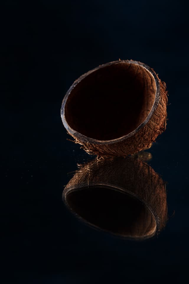 Coconut Shell Charcoal: Industrial Applications and Export Potential